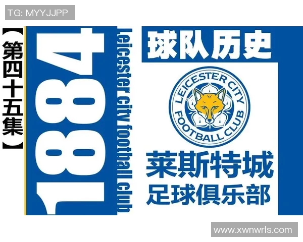 足球巨星专属BGM合集：为每一位球员定制的激情与荣耀之歌